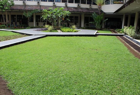 taman2