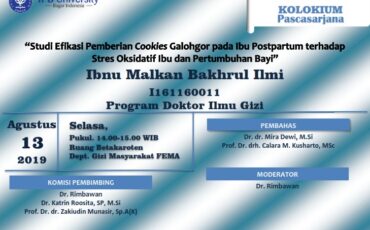 Kolokium Ibnu